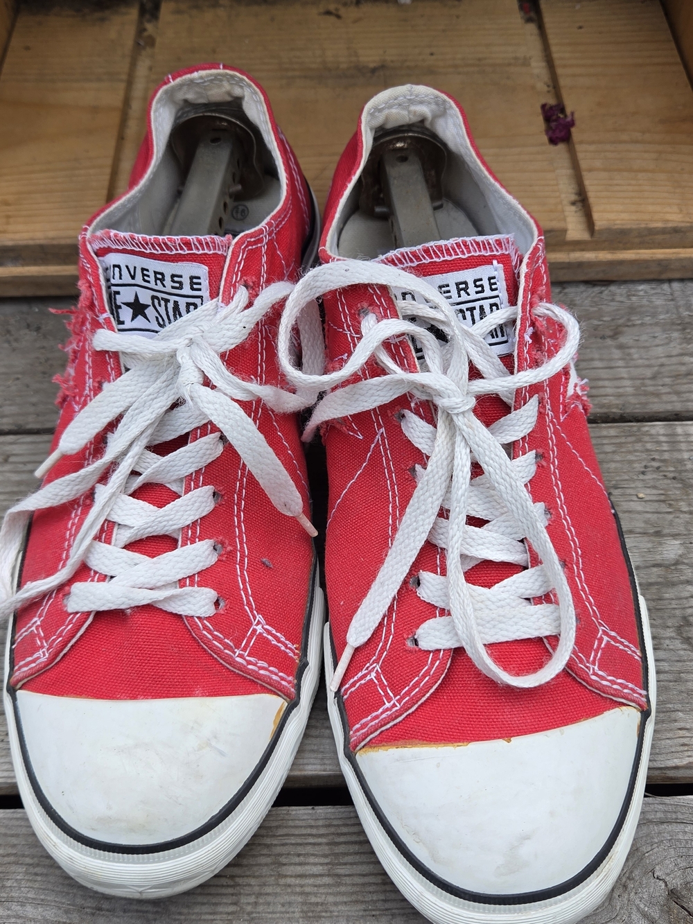 Converse Low Top Canvas Sneakers - Red